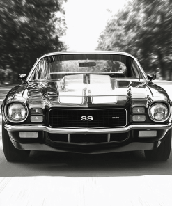 1970 Chevy Camaro in Black and White Diamond Painting