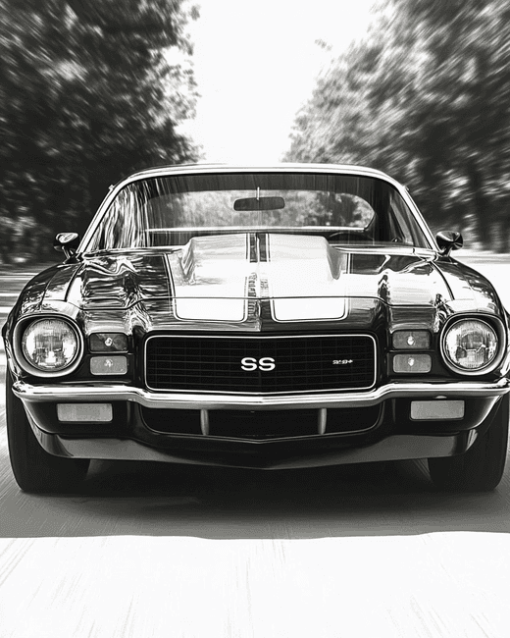 1970 Chevy Camaro in Black and White Diamond Painting