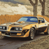 1978 Pontiac Trans Am Diamond Painting