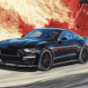 2018 GT Mustang Black Diamond Painting