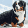 Adorable Bernese Mountain Puppies Diamond Painting