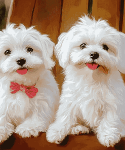 Adorable Maltese Dogs Diamond Painting