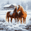 Adorable Winter Horses Diamond Painting