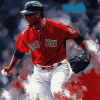 Aesthetic Boston Red Sox Diamond Painting