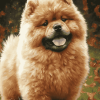 Aesthetic Chow Chow Puppy Diamond Painting