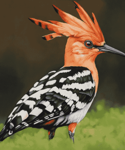 Aesthetic Hoopoe Birds Diamond Painting