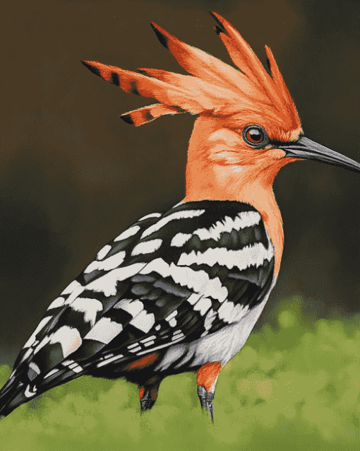 Aesthetic Hoopoe Birds Diamond Painting