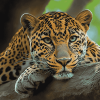 Aesthetic Leopard Diamond Painting