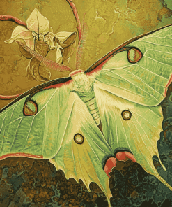 Aesthetic Luna Moth Diamond Painting