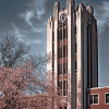 Aesthetic Michigan State University Buildings Diamond Painting