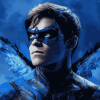 Aesthetic Nightwing Movie Diamond Painting