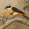 Aesthetic Pardalote Bird Diamond Painting