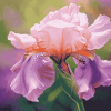 Aesthetic Pink Iris Blossoms Diamond Painting