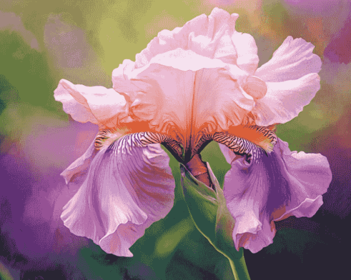 Aesthetic Pink Iris Blossoms Diamond Painting