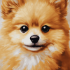 Aesthetic Pomchi Puppy Diamond Painting