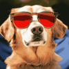 Aesthetic Puppy Sunglasses Diamond Painting