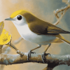 Aesthetic Silvereye Birds Diamond Painting