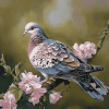 Aesthetic Turtle Dove Diamond Painting