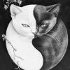 Aesthetic Yin Yang Cats Diamond Painting