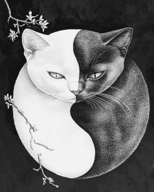 Aesthetic Yin Yang Cats Diamond Painting