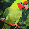 Alexandrine Parakeet Birds Diamond Painting