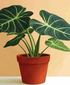 Alocasia Plant Leaf Diamond Painting