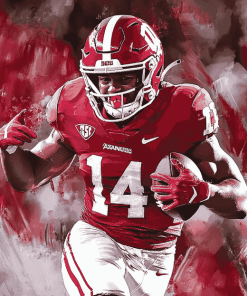 Arkansas Razorbacks Football Star Diamond Painting