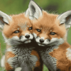 Baby Fox Cubs Diamond Painting