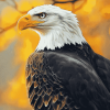 Bald Eagle Wildlife Diamond Painting