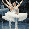 Ballet Swan Lake Ballerina Diamond Painting