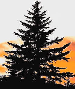 Balsam Fir Tree Art Diamond Painting