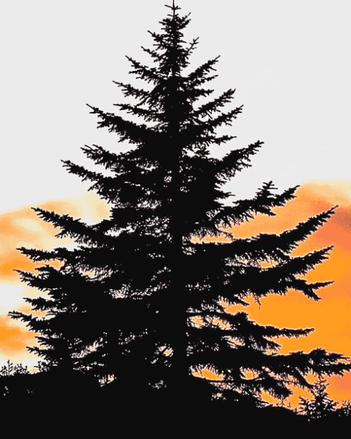 Balsam Fir Tree Art Diamond Painting