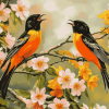 Baltimore Oriole Birds Diamond Painting