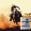 Barrel Racing Rodeo Sports Diamond Painting