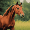 Bay Horse Elegance Diamond Painting