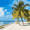 Biscayne Florida Beach Diamond Painting