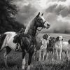 Black And White Horse And Hound Diamond Painting