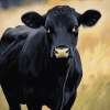 Black Calf Diamond Painting