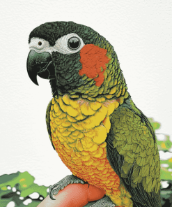 Black Capped Conure Parrot Diamond Painting