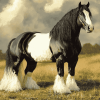 Black Clydesdale Horse Diamond Painting