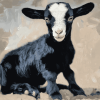 Black Goat Animals Diamond Painting