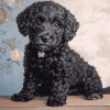 Black Goldendoodle Puppy Diamond Painting