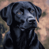 Black Labrador Puppy Diamond Painting