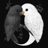 Black and White Birds Yin Yang Diamond Painting