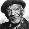 Black and White Redd Foxx Tribute Diamond Painting