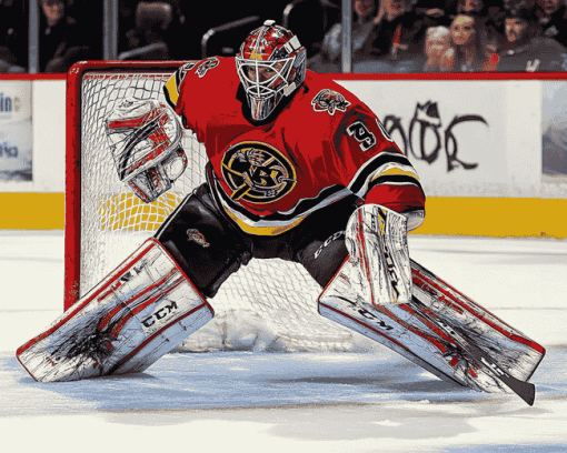 Blackhawks Hockey Goalie Diamond Painting