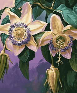 Blossoming Passionflower Diamond Painting