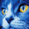 Blue Cat Abstract Diamond Painting