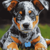 Blue Cattle Dog Puppy Diamond Painting