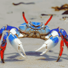 Blue Crab Animal Diamond Painting